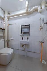 Blk 239 Bukit Panjang Ring Road (Bukit Panjang), HDB Executive #509995691
